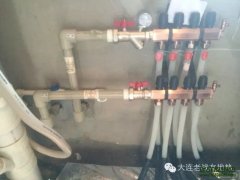 【老战友连锁企业】万棵树工程质量巡检