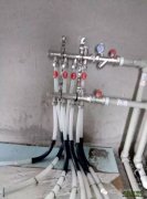 【老战友连锁企业】万棵树工程质量巡检